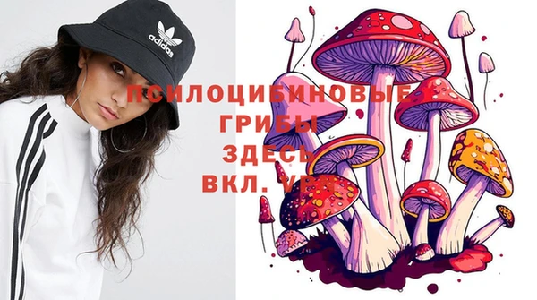 каннабис Бронницы